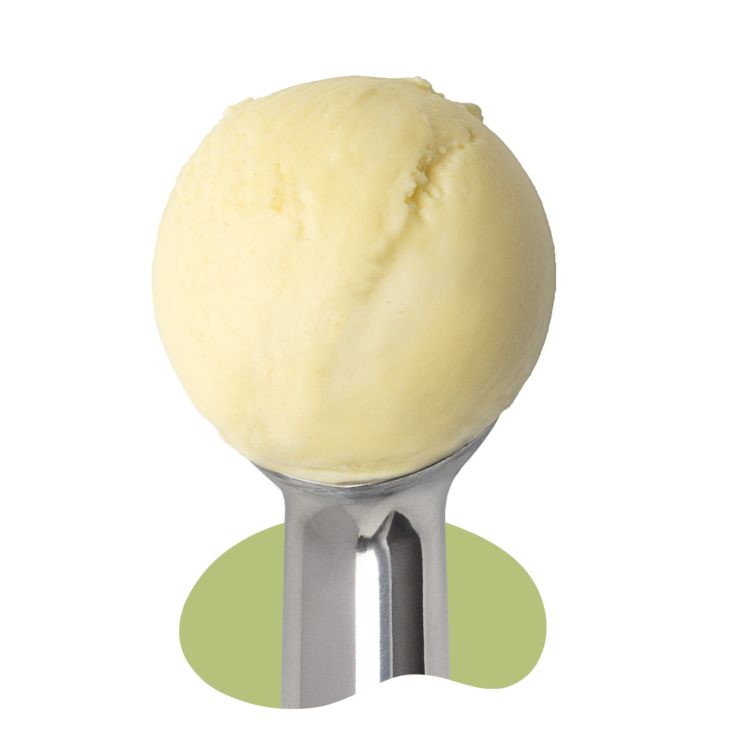 Vegan Marco Elderflower Spritz